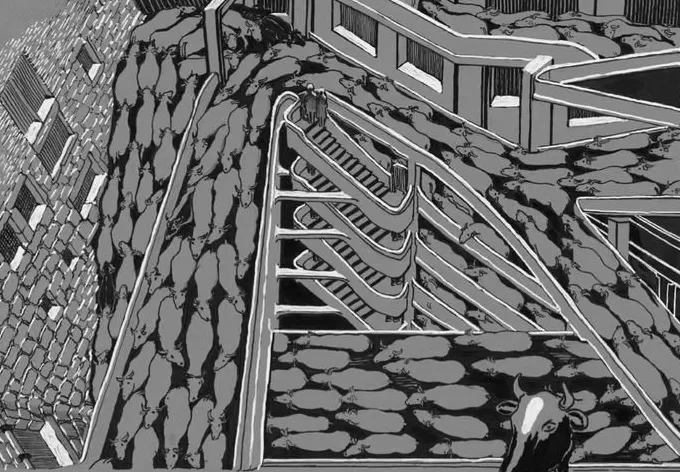 大馆与饭局-第4张图片-