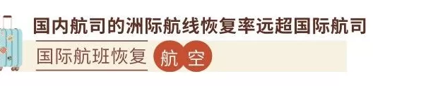 九大年度文旅出圈热点，开辟旅行新玩法-第3张图片-