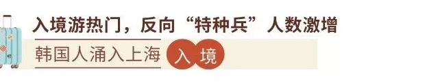 九大年度文旅出圈热点，开辟旅行新玩法-第1张图片-