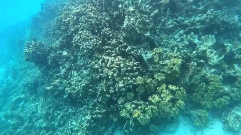 外交部：黄岩岛是中国固有领土，中方不接受菲律宾所谓“抗议”-第1张图片-