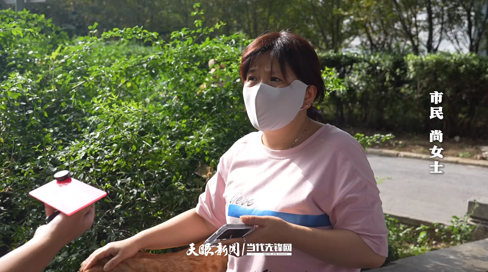 贵阳“挖眼虐猫”事件系AI编造谣言,造谣者已被行政处罚-第3张图片- 贵阳“挖眼虐猫”事件系AI编造谣言,造谣者已被行政处罚-第3张图片-