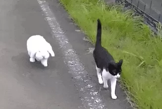 运动也能防抑郁,这几种运动最有效-第5张图片- 运动也能防抑郁,这几种运动最有效-第5张图片-