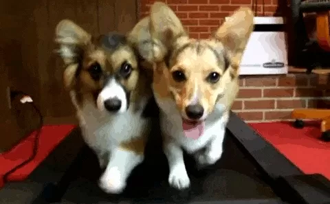 运动也能防抑郁,这几种运动最有效-第13张图片- 运动也能防抑郁,这几种运动最有效-第13张图片-