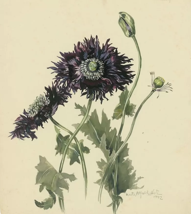 100年前她就开摄影工作室玩自拍了-第6张图片-