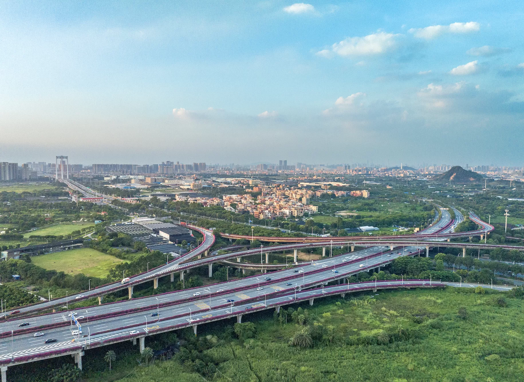 政府投资基金运作不规范、骗取“两新”补贴，地方审计报告揭露这些问题-第1张图片-