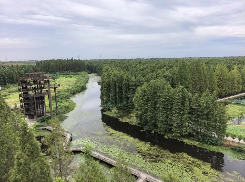 淮安金湖的“颜值”,不仅有美景也有乡愁-第3张图片- 淮安金湖的“颜值”,不仅有美景也有乡愁-第3张图片-