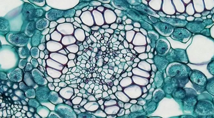 家人之间的和谐，有细思极恐的地方｜《家庭简史》导演专访-第8张图片-