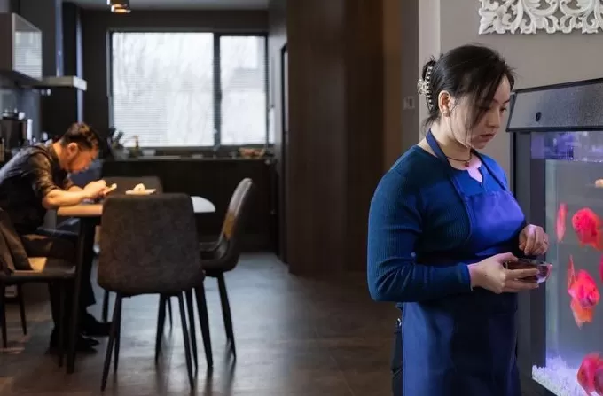 通篇都是真善美的故事,我会觉得晃眼|专访《绑架毛乎乎》导演-第2张图片- 通篇都是真善美的故事,我会觉得晃眼|专访《绑架毛乎乎》导演-第2张图片-