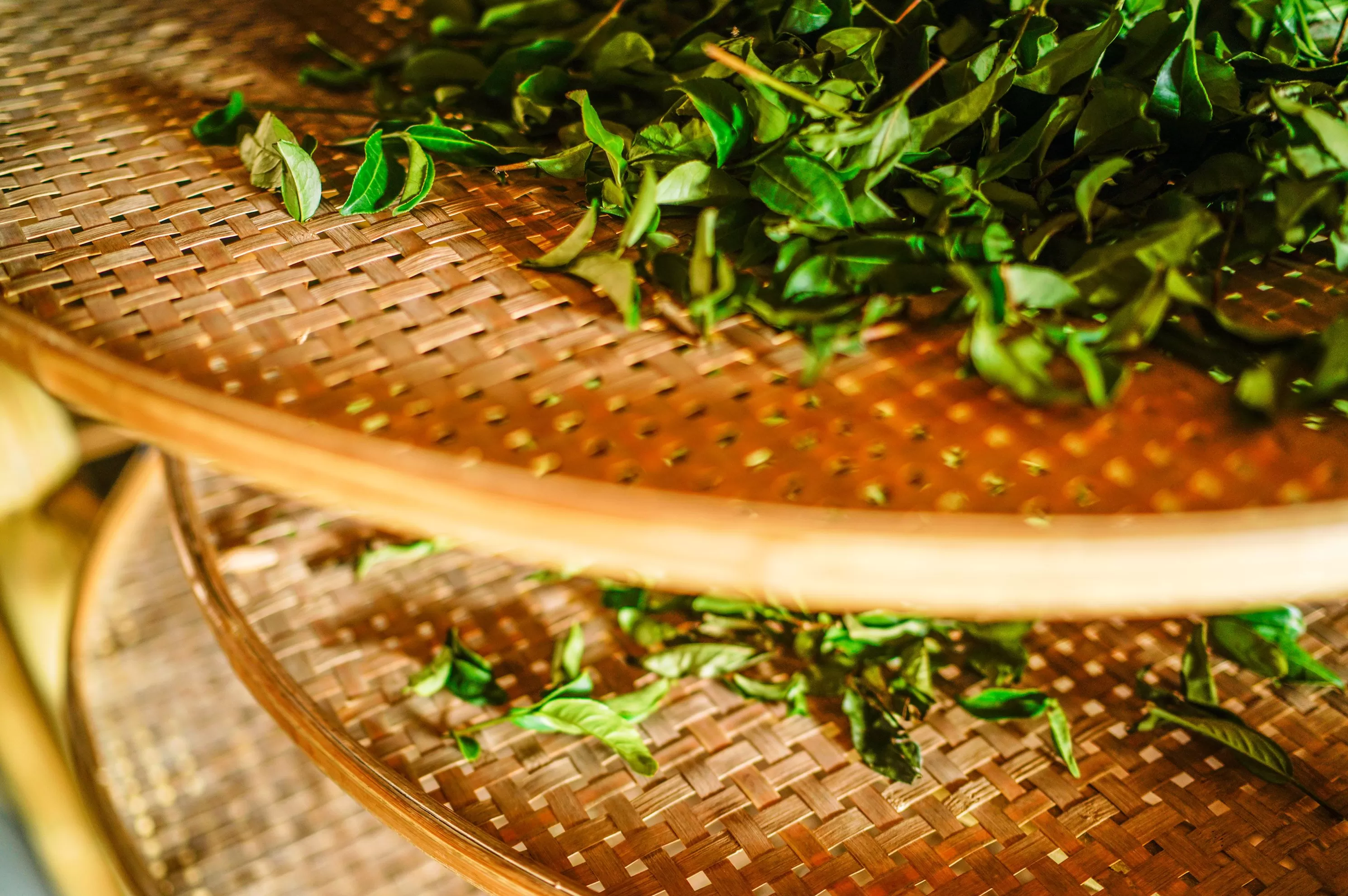 筹备上市的八马茶业发现熟客不够用了-第3张图片- 筹备上市的八马茶业发现熟客不够用了-第3张图片-