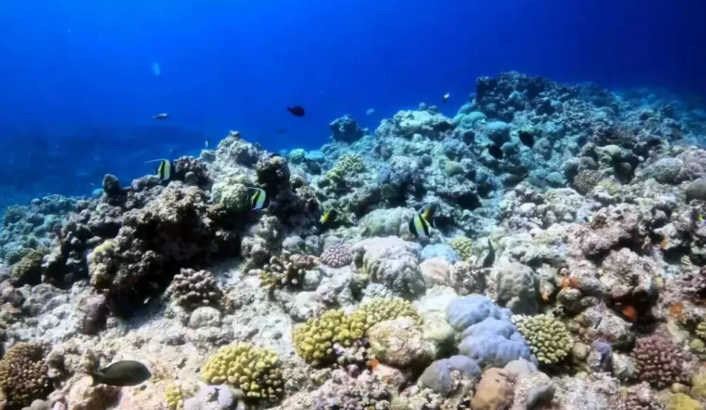 中国在南海行政管理进入新阶段-第3张图片- 中国在南海行政管理进入新阶段-第3张图片-