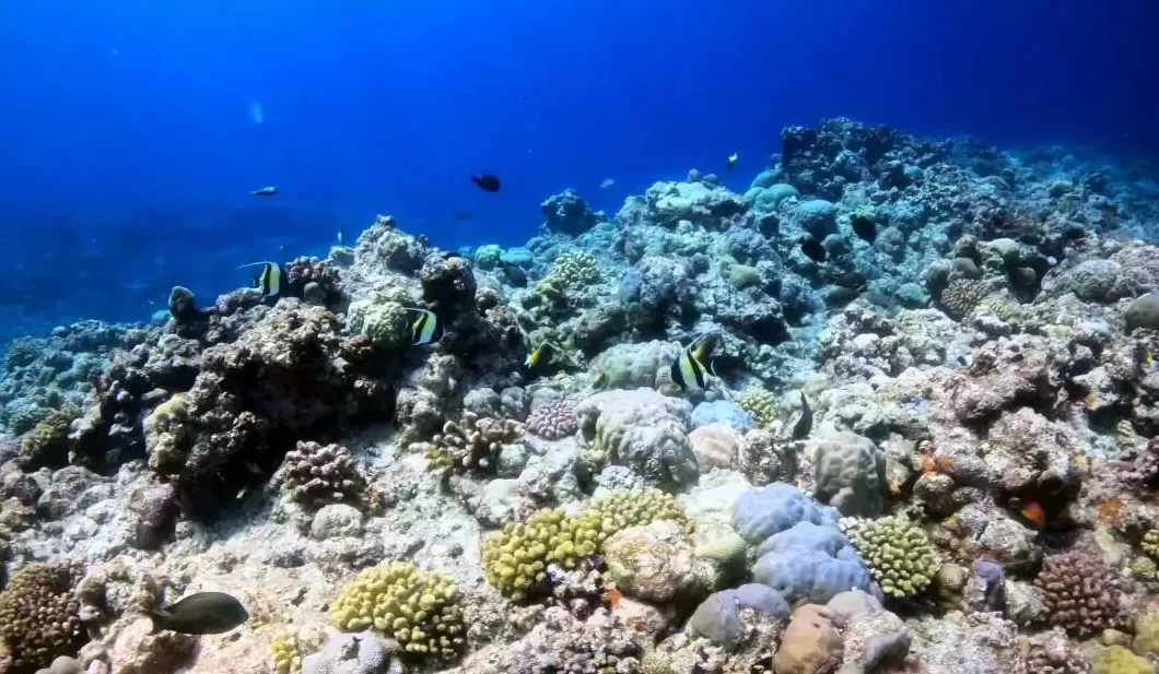 玉渊谭天丨中国在南海行政管理进入新阶段-第3张图片- 玉渊谭天丨中国在南海行政管理进入新阶段-第3张图片-