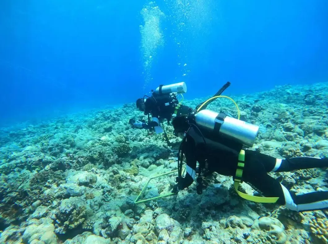 玉渊谭天丨中国在南海行政管理进入新阶段-第5张图片- 玉渊谭天丨中国在南海行政管理进入新阶段-第5张图片-