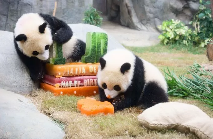 国泰航空北京首都国际机场贵宾室焕新，皇家加勒比打造主题专列 | 一周旅行指南-第6张图片-