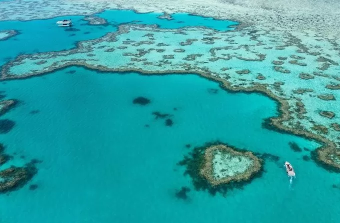 【专访】澳大利亚旅游局全球首席营销官Susan Coghill：与游客建立情感链接，创造终生难忘的旅行-第4张图片-