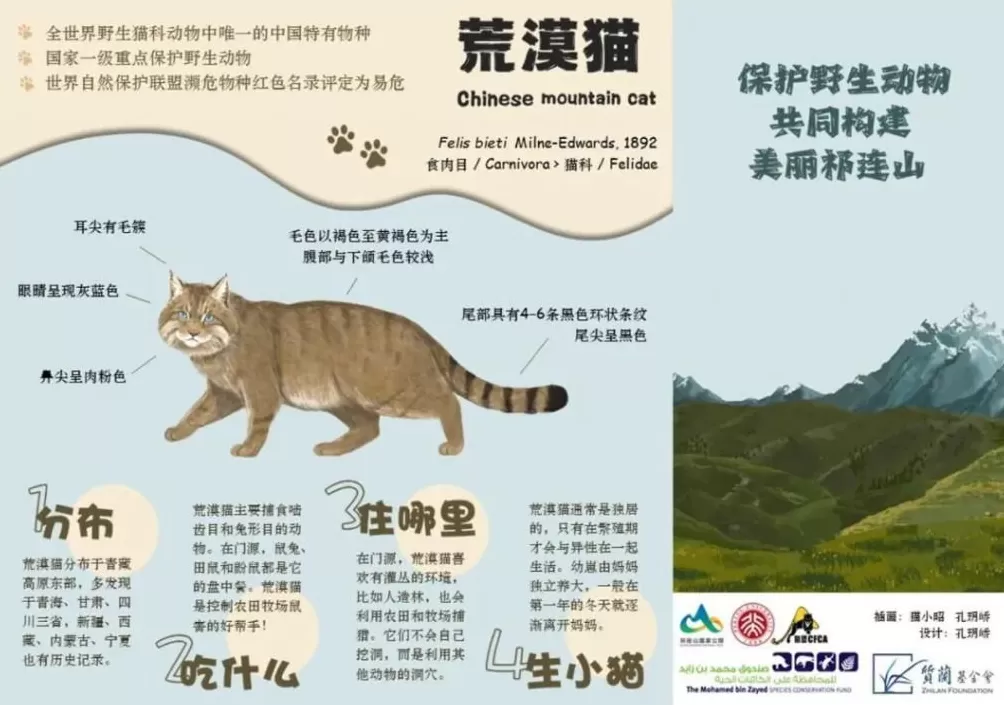 PKU005，半路死去，没能抵达新的家-第7张图片-