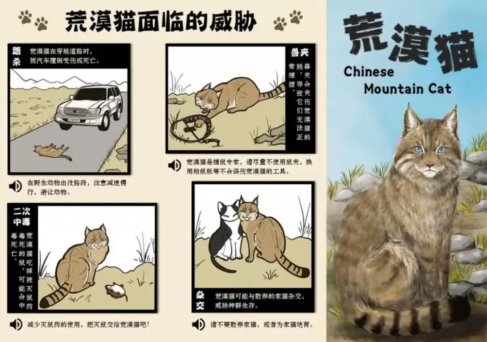 PKU005，半路死去，没能抵达新的家-第5张图片-