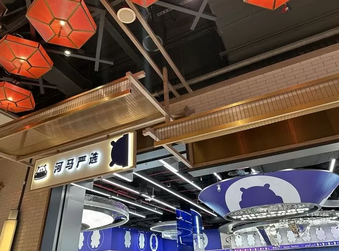 我在迪拜做科创-第4张图片-