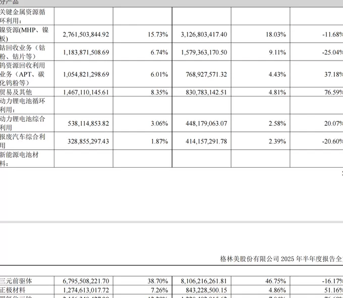 两年半累亏近10亿，广东五兄弟创立的电池回收公司第三次冲击IPO-第4张图片-