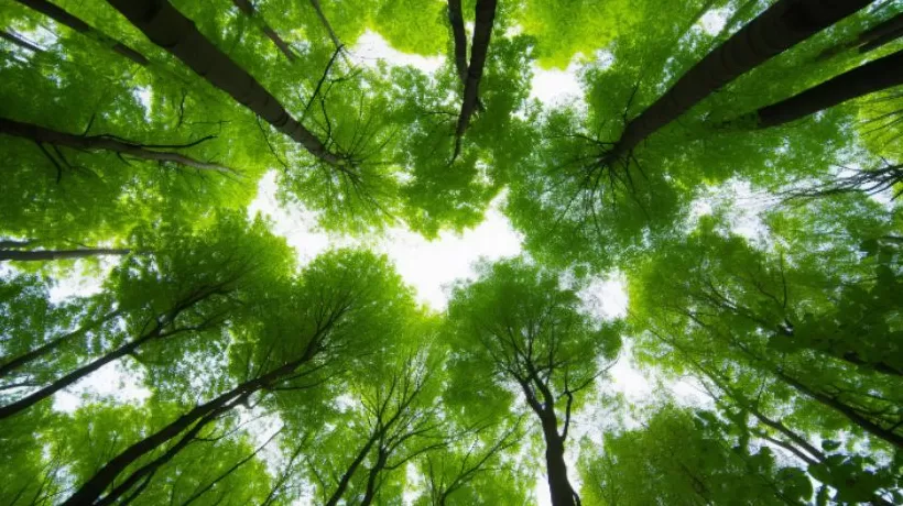 国家公园法明年1月1日起施行，我国国家公园有了专门法律-第1张图片-