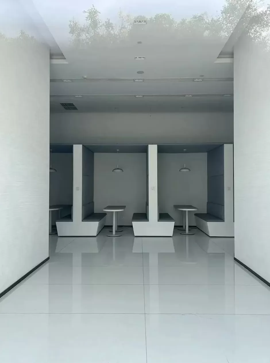 神秘金主出手，威马汽车宣布复活-第2张图片-