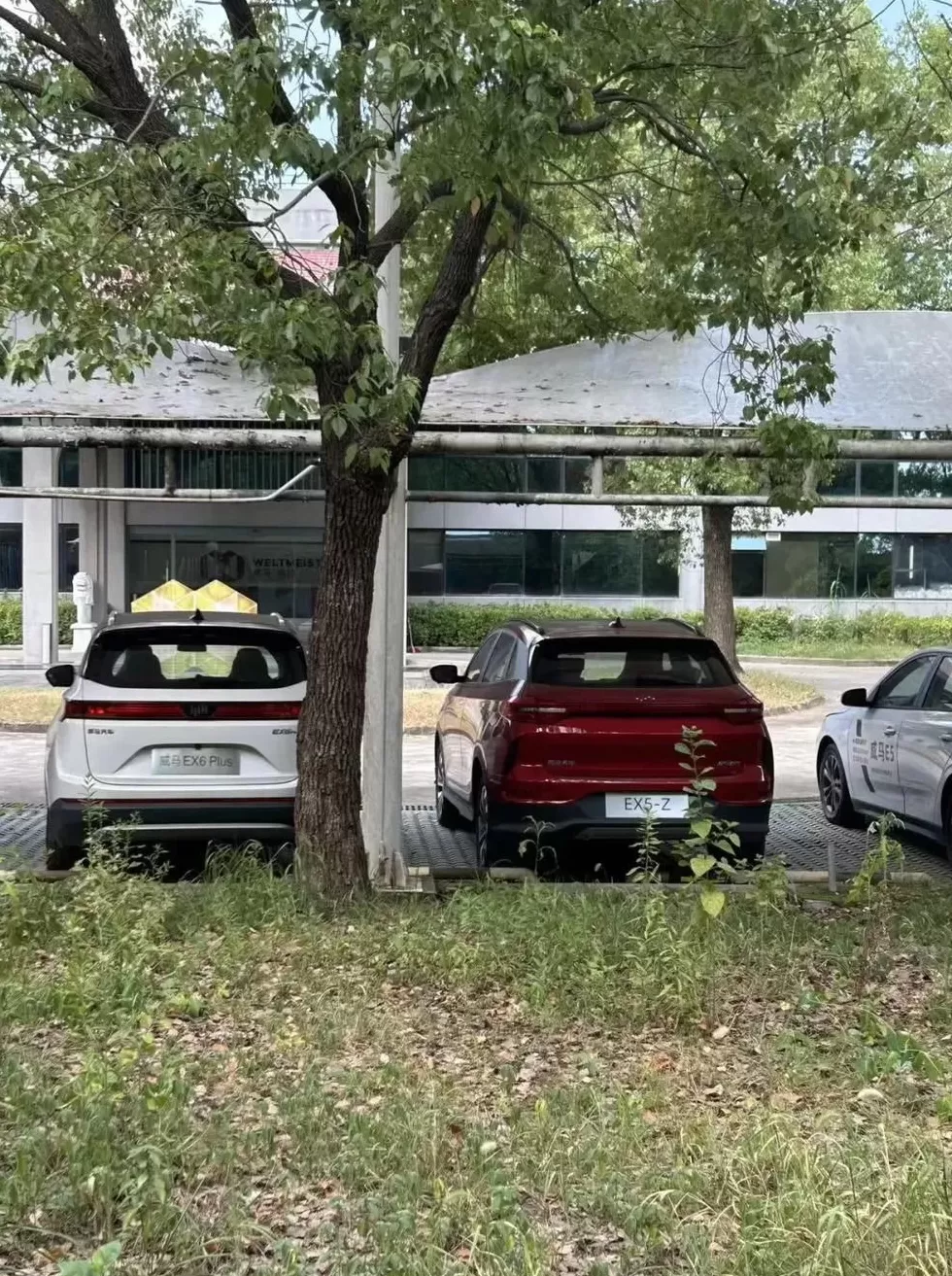 神秘金主出手，威马汽车宣布复活-第4张图片-