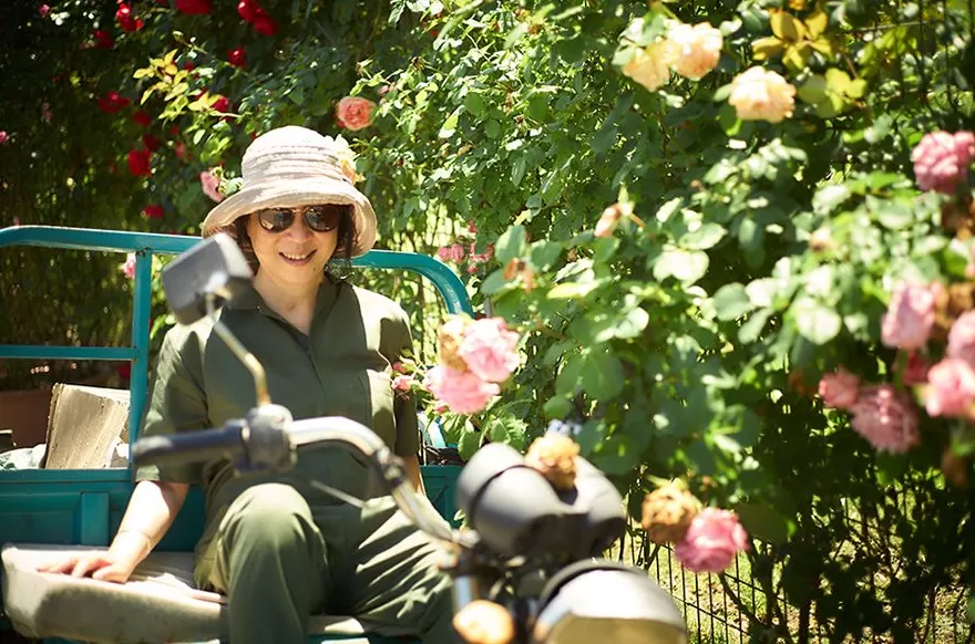 文学花边｜陈丹燕带着她的“月季故事”来到英国-第3张图片-