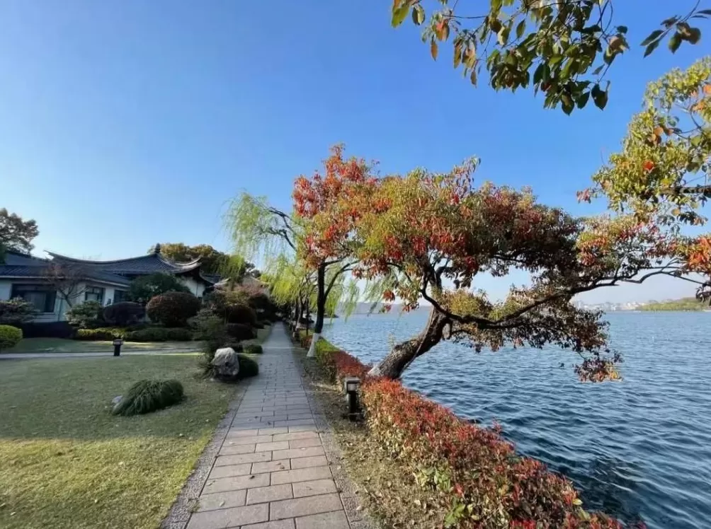 存款100万躺平：一场失败的人生调休实验-第1张图片-