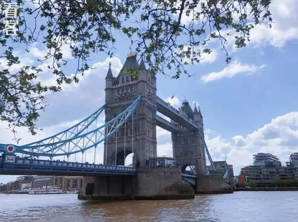 存款100万躺平：一场失败的人生调休实验-第6张图片-