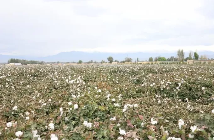 砥砺奋进七十载天山南北谱华章|风生水起的新疆文创-第5张图片- 砥砺奋进七十载天山南北谱华章|风生水起的新疆文创-第5张图片-