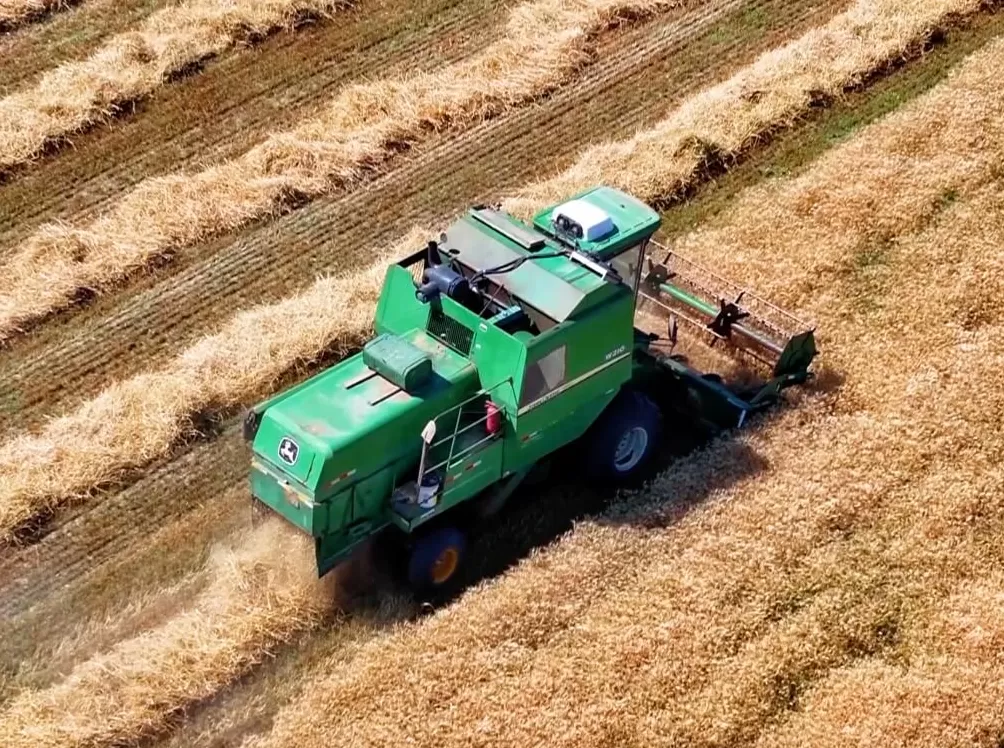 砥砺奋进七十载天山南北谱华章|风生水起的新疆文创-第6张图片- 砥砺奋进七十载天山南北谱华章|风生水起的新疆文创-第6张图片-