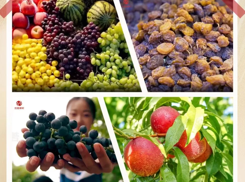 砥砺奋进七十载天山南北谱华章|风生水起的新疆文创-第8张图片- 砥砺奋进七十载天山南北谱华章|风生水起的新疆文创-第8张图片-