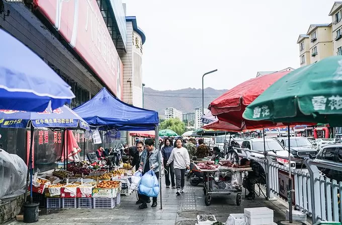 界面人物No.1｜“东北雨姐”，极速坠落-第3张图片-