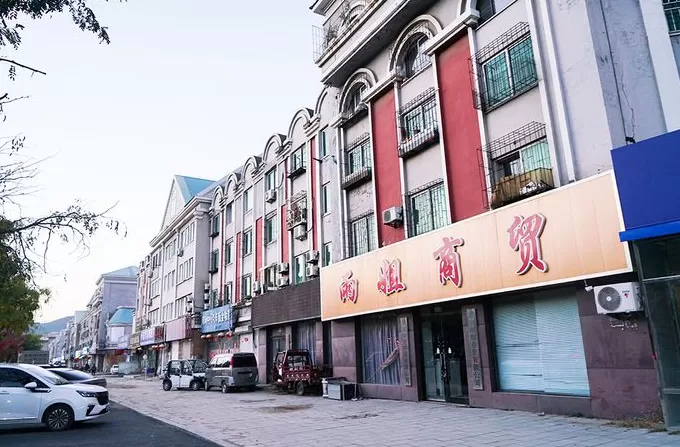 界面人物No.1｜“东北雨姐”，极速坠落-第5张图片-