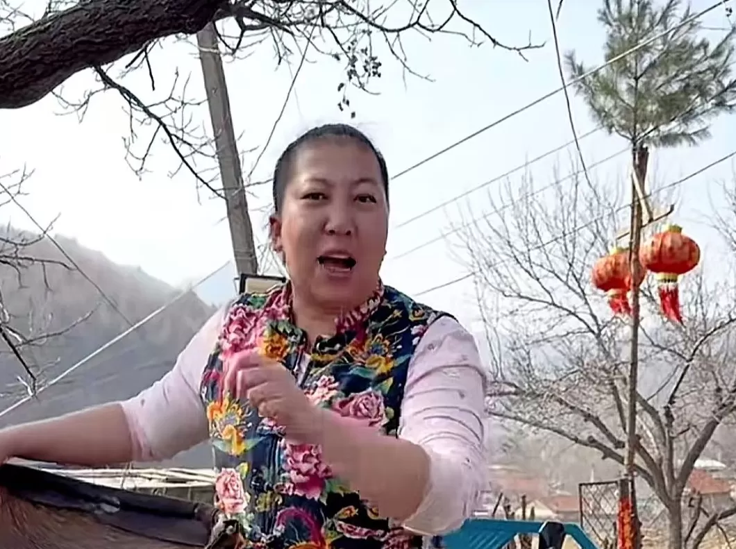 界面人物No.1｜“东北雨姐”，极速坠落-第1张图片-