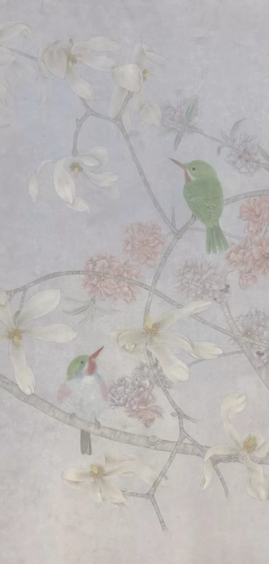 “花儿不会老,鸟儿不会变”-第1张图片- “花儿不会老,鸟儿不会变”-第1张图片-