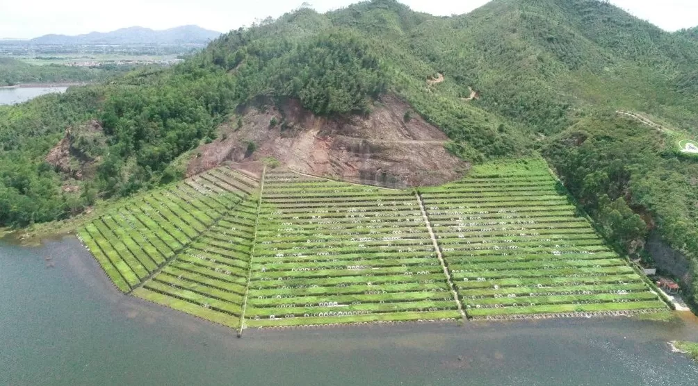 广东陆丰一墓园被查处后疑仍在销售，当地称已在着手处理-第1张图片-