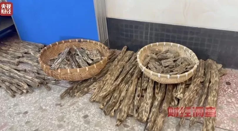 你买的沉香可能是“科技与狠活”商家被曝用注油白木冒充沉香-第8张图片-