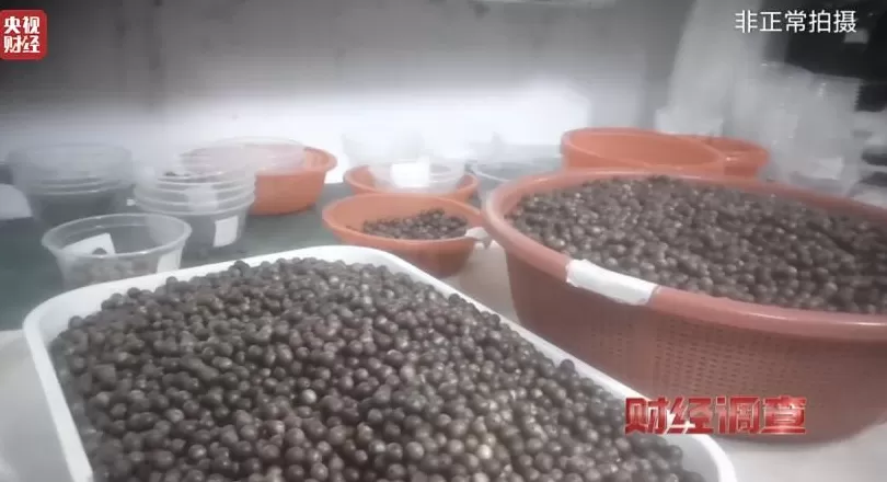 你买的沉香可能是“科技与狠活”商家被曝用注油白木冒充沉香-第14张图片-