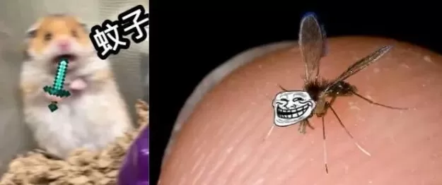 为啥你总被蚊子咬?研究表明,这些生活习惯会让你成为“蚊子的香饽饽”!-第1张图片- 为啥你总被蚊子咬?研究表明,这些生活习惯会让你成为“蚊子的香饽饽”!-第1张图片-