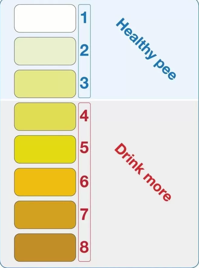 为啥你总被蚊子咬?研究表明,这些生活习惯会让你成为“蚊子的香饽饽”!-第4张图片- 为啥你总被蚊子咬?研究表明,这些生活习惯会让你成为“蚊子的香饽饽”!-第4张图片-