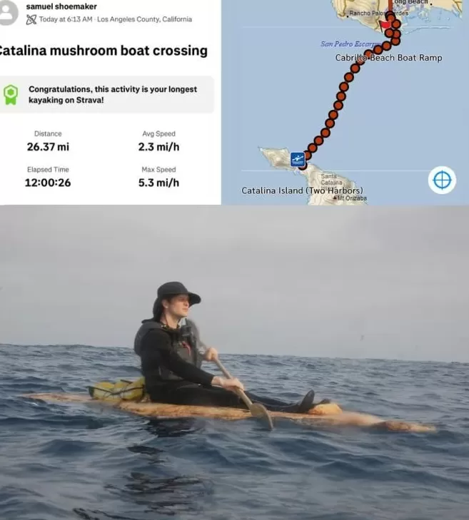 为啥你总被蚊子咬?研究表明,这些生活习惯会让你成为“蚊子的香饽饽”!-第5张图片- 为啥你总被蚊子咬?研究表明,这些生活习惯会让你成为“蚊子的香饽饽”!-第5张图片-