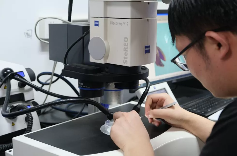 记录中国丨六位研究生的中药火锅店：让每款菜品都像学术论文般经得起推敲-第5张图片-