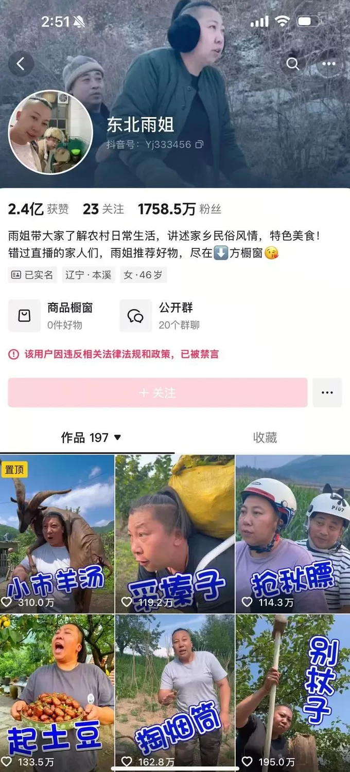 未缴纳罚款，“东北雨姐”带货红薯粉厂商被强制执行671万元-第2张图片-