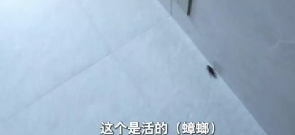 深夜，变态邻居又开始了……-第14张图片-
