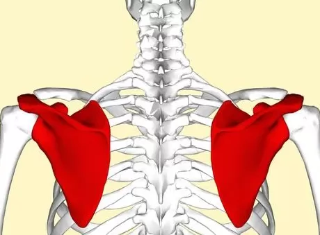这样的“蝴蝶骨”很美?不用羡慕,得治-第2张图片- 这样的“蝴蝶骨”很美?不用羡慕,得治-第2张图片-