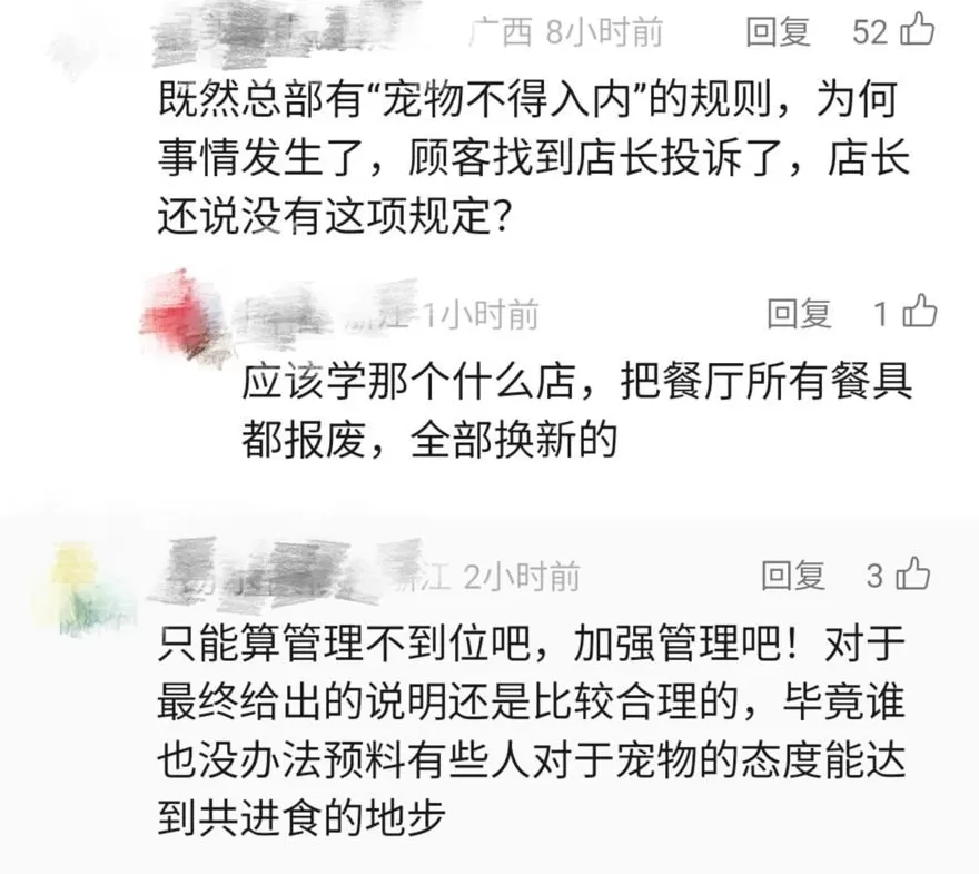 邻桌家长怒了!西贝一食客用公筷喂狗,门店:丢弃涉事餐具、全面消杀-第2张图片- 邻桌家长怒了!西贝一食客用公筷喂狗,门店:丢弃涉事餐具、全面消杀-第2张图片-