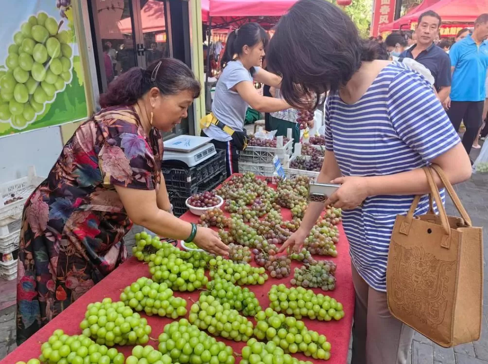 阳光玫瑰因何跌成“地板价”?-第2张图片- 阳光玫瑰因何跌成“地板价”?-第2张图片-