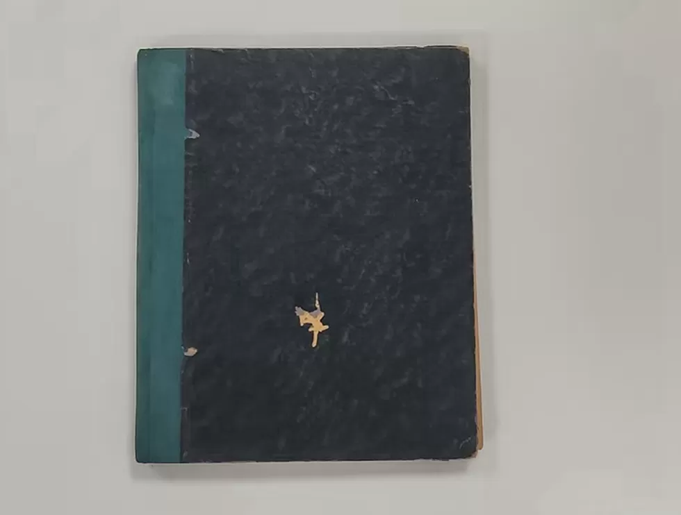 华东师大获赠80年前女学生7万字日记，这本历史“小人物”的故事将出版-第3张图片-