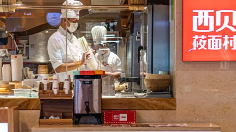 西贝回应“顾客就餐时用公筷喂狗”：店内已进行全面消杀 -第1张图片-