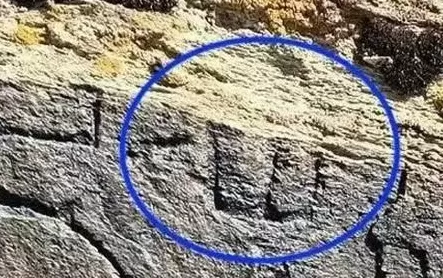 青海秦代石刻官方鉴定为真!古文字学家详解鉴定过程、深远意义和未来谋划-第3张图片- 青海秦代石刻官方鉴定为真!古文字学家详解鉴定过程、深远意义和未来谋划-第3张图片-